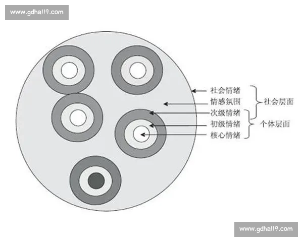 舆论发酵下的社会反响与公众情绪变化分析